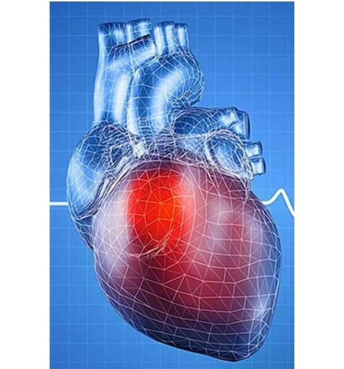 Heart illustration. Cardiology services at Archana Hospital.